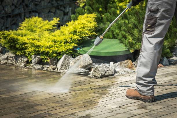 Best Brick and Stone Cleaning in Princeton, TX