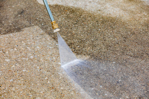 Best Window and Screen Pressure Cleaning in Princeton, TX