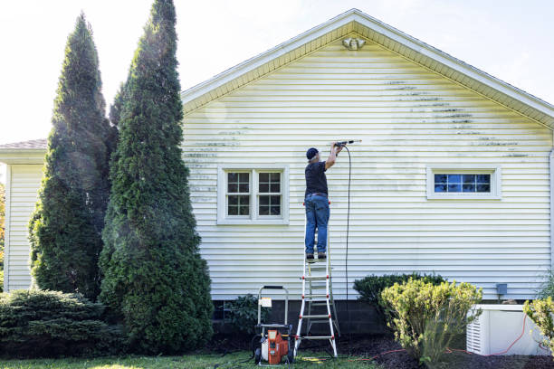 Best Fence Cleaning and Maintenance in Princeton, TX