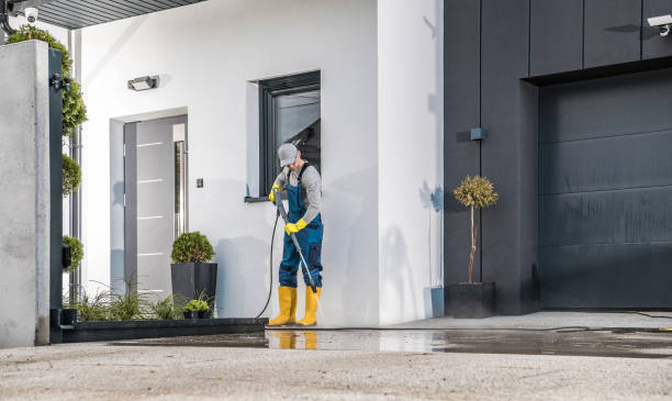 Best Driveway Cleaning and Restoration in Princeton, TX